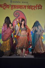 at Handloom fashion show by NIFD in Bandra, Mumbai on 27th Feb 2012 (26).JPG